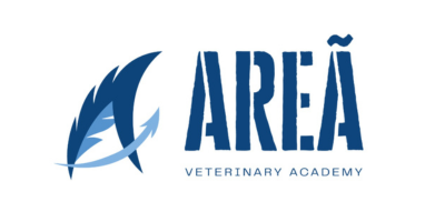 Design sem nome (32)